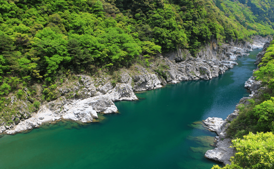 四國冬季旅遊景點｜10. 大步危小步危（德島縣）